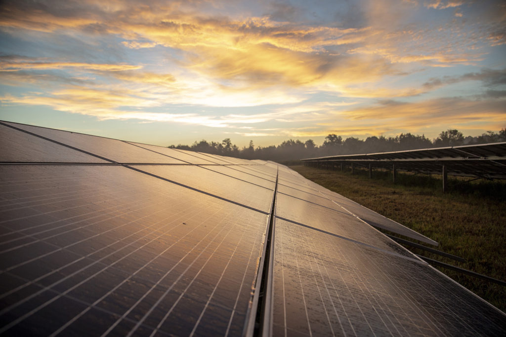 The Hazelhurst I solar array near Hazelhurst, Georgia, has 87,514 modules that provide about 20,000 megawatts of power to electric co-op members across Georgia. (Photo By: Dennis Gainer/NRECA)